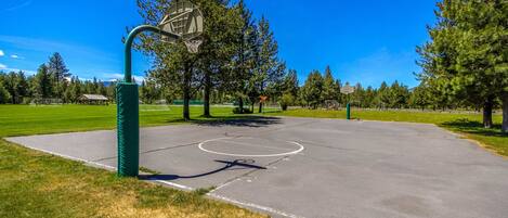 A basketball court with a hoop, surrounded by trees and a clear sky.