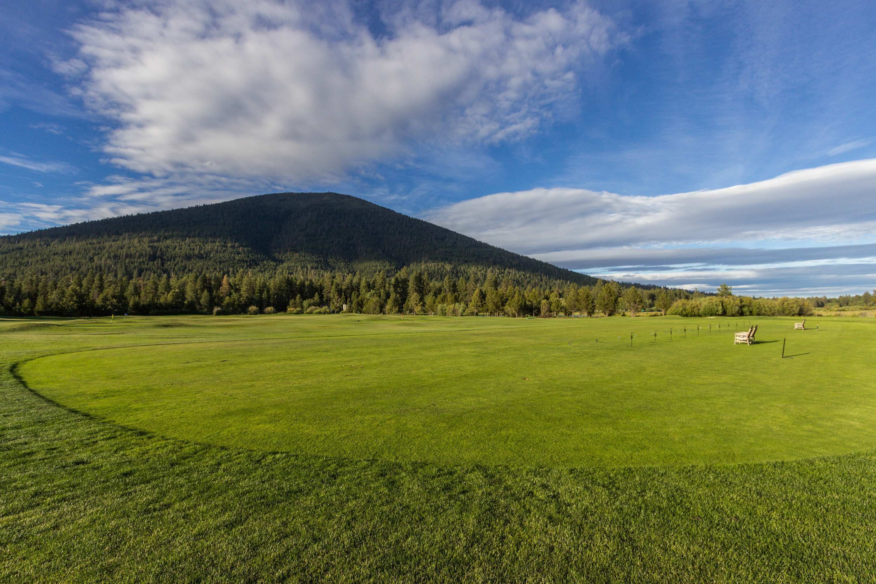 A vast green field with a mountain in the background and a clear sky.