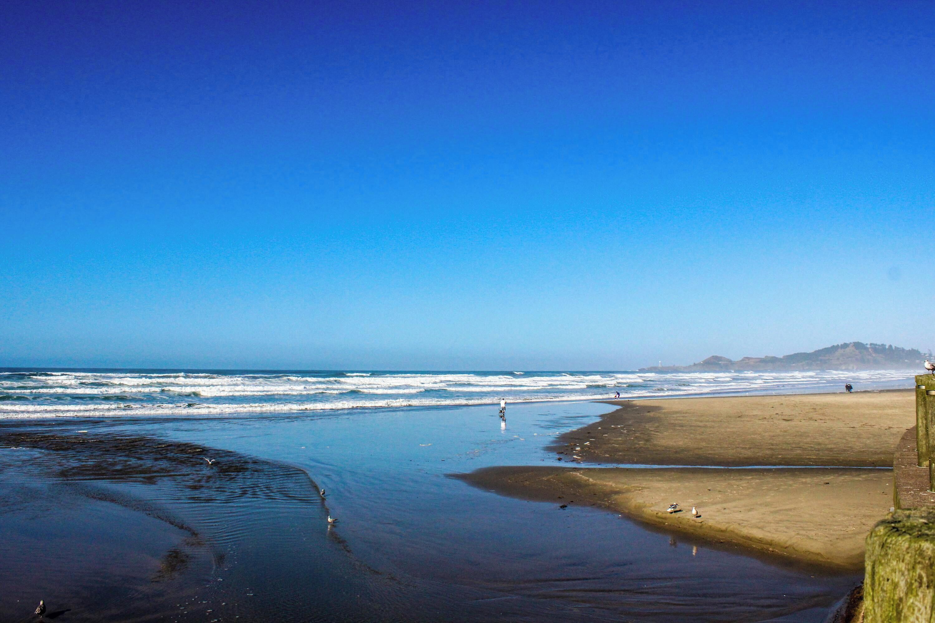 Una playa con olas, una orilla arenosa y una colina distante.