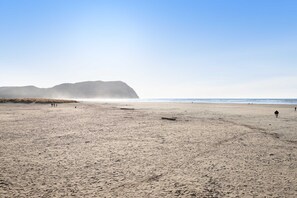 Beach nearby - Historic home on one acre meadow, near beach & golf - dog-friendly (Gearhart)