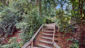 Una escalera de madera en una zona boscosa con vegetación densa y árboles.