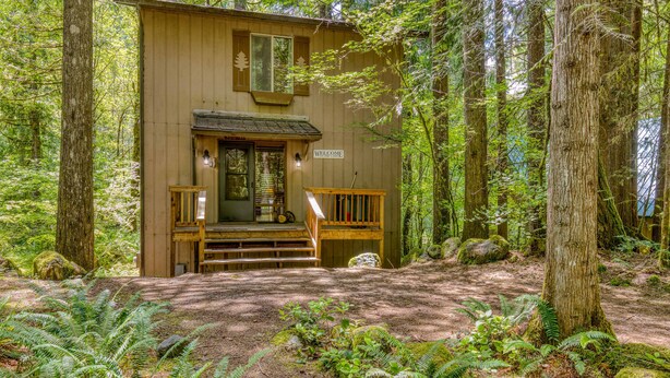 Een houten chalet met een veranda, omgeven door dicht bos.