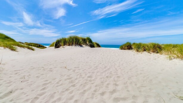 Une plage de sable avec des dunes et un ciel bleu clair.
