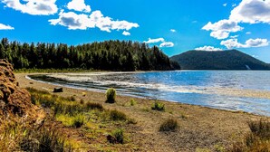 Un paysage naturel comprenant un lac, une forêt et un ciel dégagé.