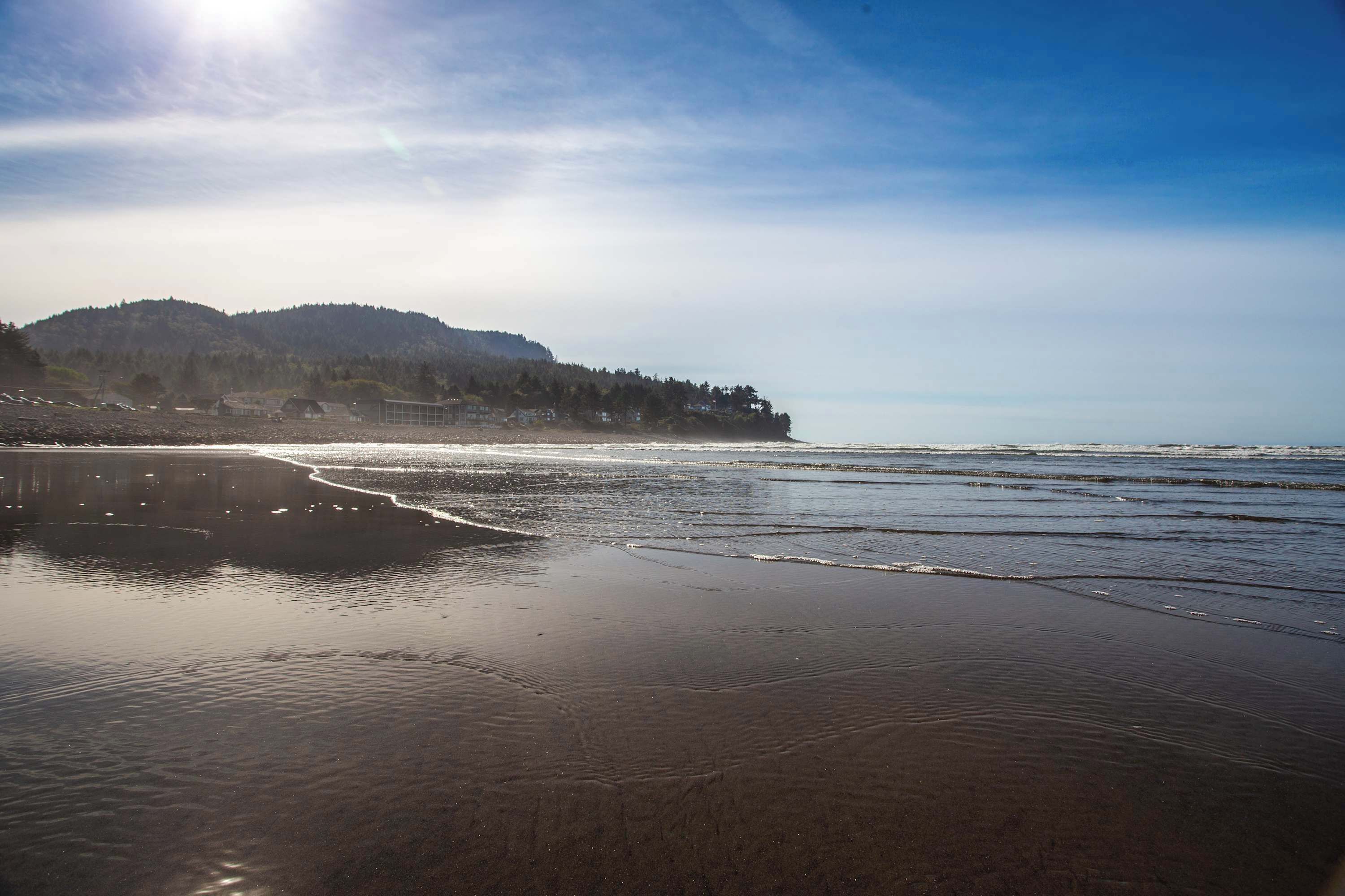 A beach with a forested hill in the background.