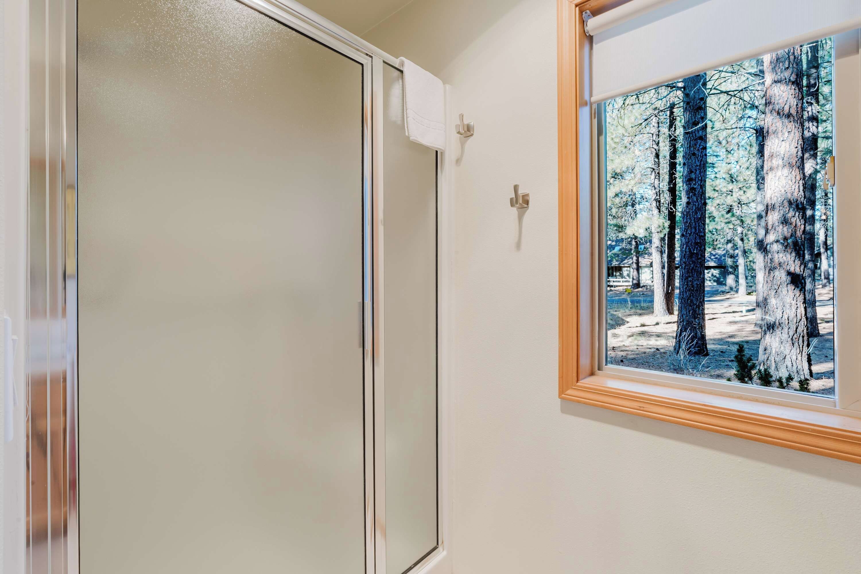 A room with a frosted glass door, a white wall, and a framed picture of a forest.