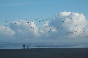 Beach nearby - Ocean view home with WiFi, gas fireplaces, private washer&dryer, and foosball (Seaside)