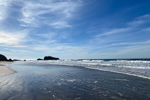 On the beach - Luxe oceanfront home with decks, grill, fireplace, gourmet kitchen, & fast WiFi (Bandon)