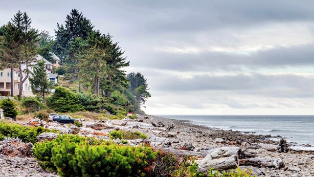 A rocky beach with a row of houses, dense trees, and the ocean in the background. - Dog-friendly house near the beach with spectacular views and pool table (Seaside)