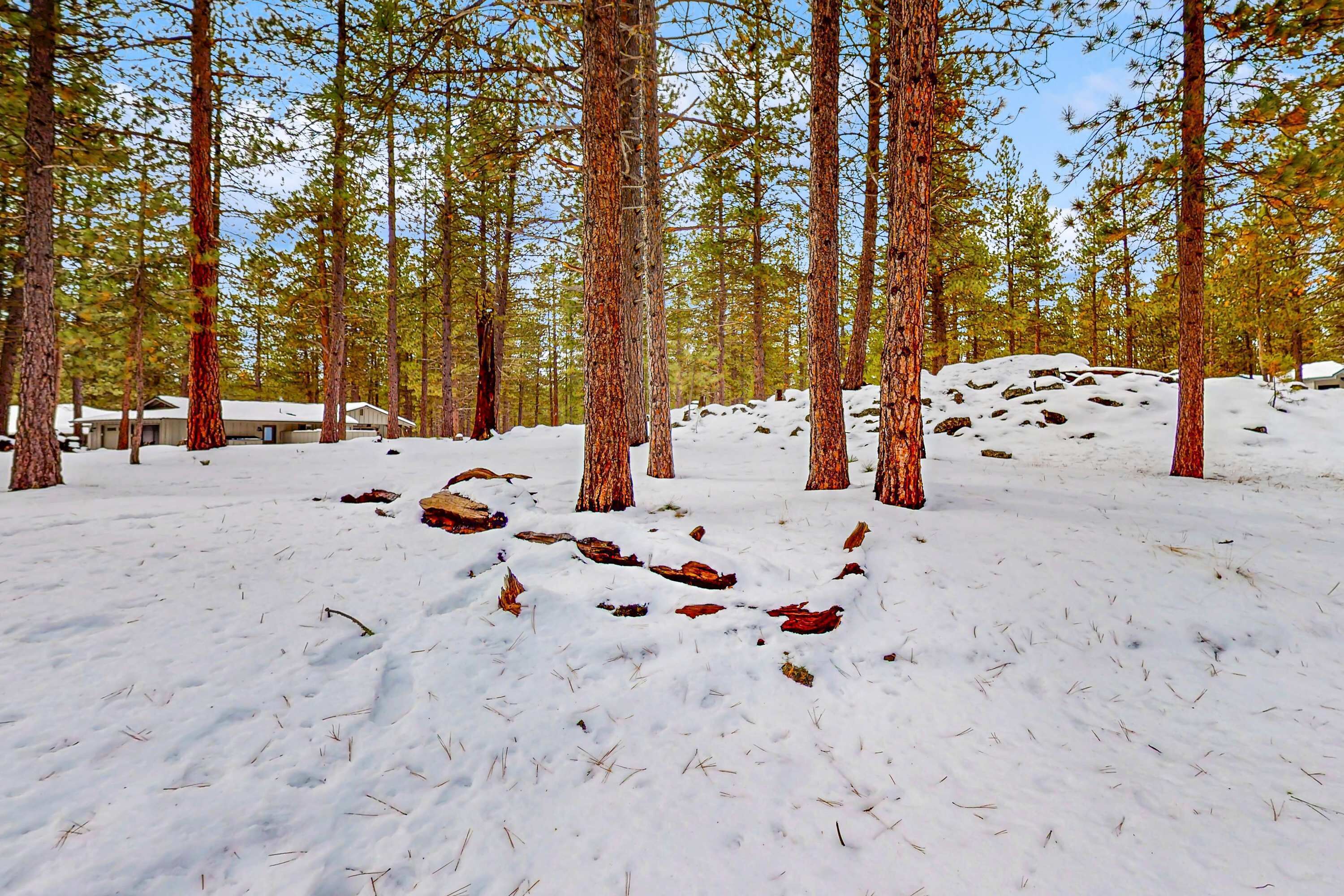 Un bosque nevado con altos pinos y una cabaña al fondo.
