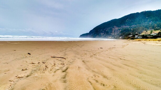 Une plage parsemée d’empreintes, une rive sablonneuse et, au loin, une colline boisée.
