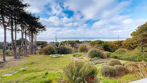 Un espace extérieur verdoyant, agrémenté d’arbres et d’arbustes, avec un banc et une vue sur l’océan.