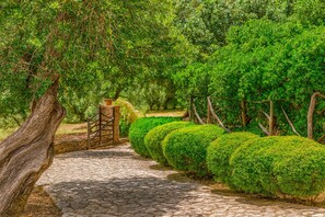 A stone pathway leading through a lush garden with neatly trimmed bushes and a rustic wooden gate. - Holiday Villa Beauty Mallorca Bridge (IB)