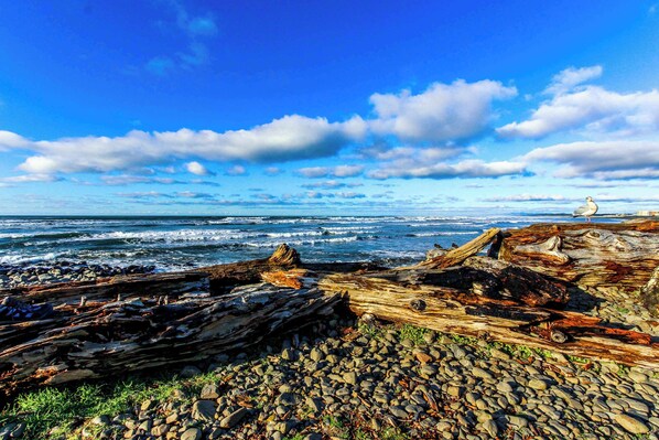 Beach nearby - Dog-friendly home near the beach with large deck, yard & washer&dryer (Seaside)