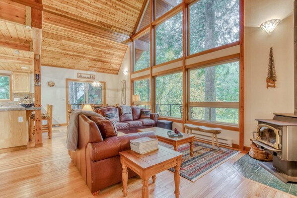 TV, DVD player, offices - Gorgeous home with views of the river, fireplace, washer&dryer, & dog-friendly (Rhododendron)