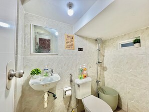 Shower, hair dryer, bidet, towels