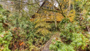A wooden cabin surrounded by dense forest with a stone pathway leading to it.
