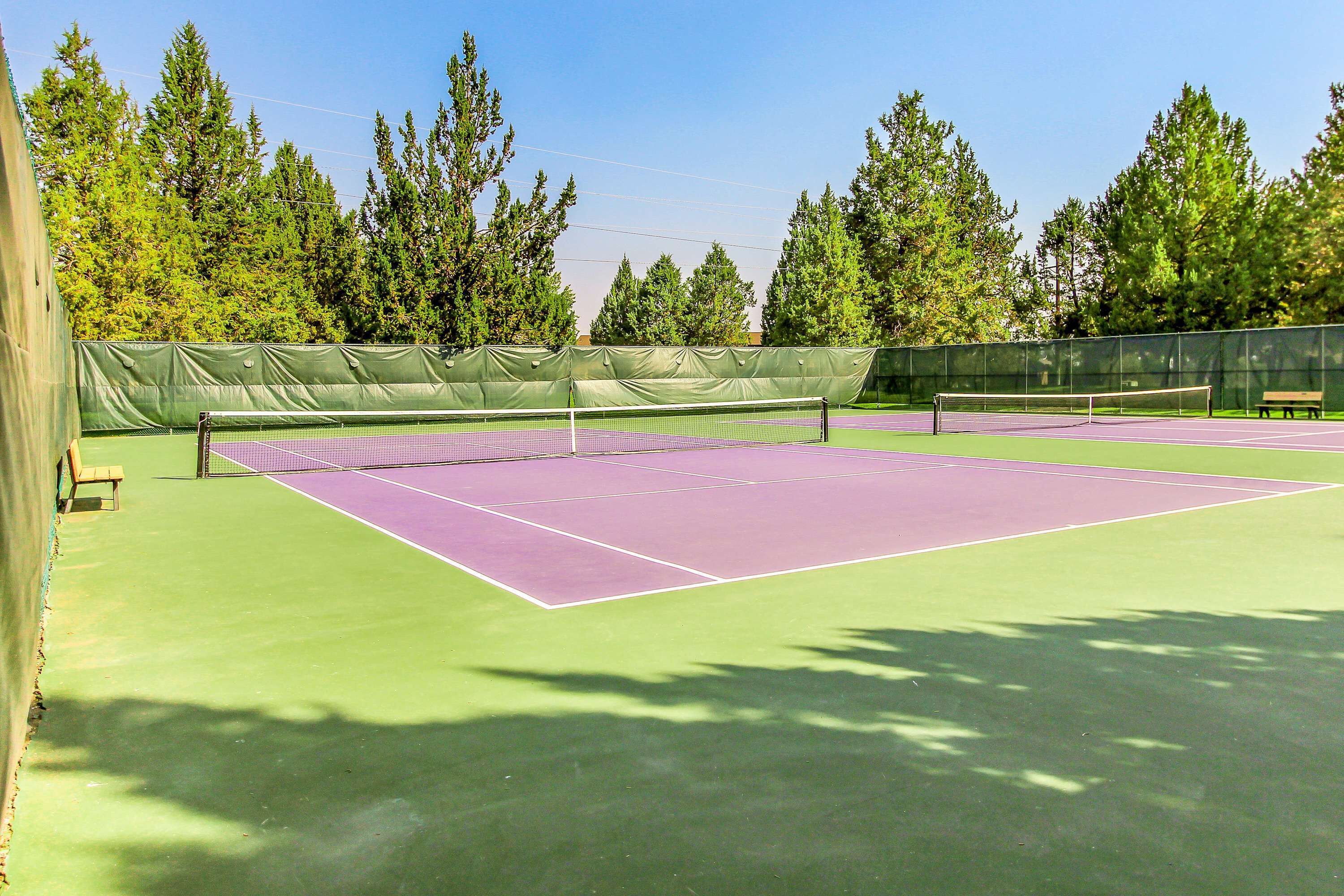 Un court de tennis avec un filet, entouré d’arbres et d’une clôture.