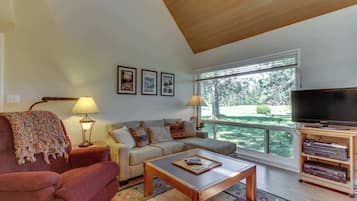 TV, fireplace, DVD player, stereo