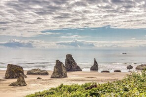 Beach nearby - Near Beach Condo with Lovely  Ocean Views- Dogs OK (Bandon)