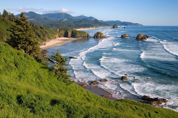 Beach nearby - Beach getaway - sunny patio, modern kitchen, fast WiFi - walk to ocean, dogs ok (Seaside)