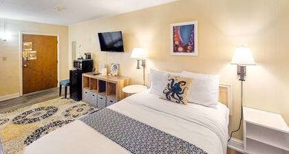 Retro getaway near beach with fast WiFI - walk to downtown shops & eateries