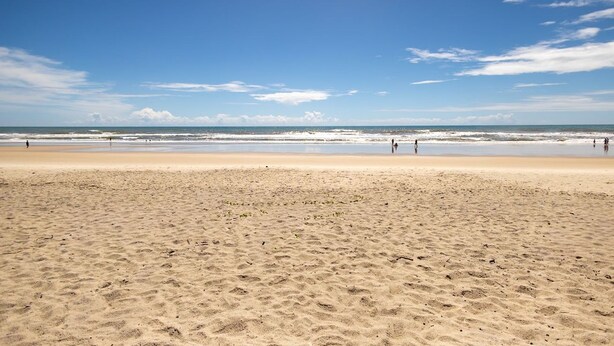 A wide sandy beach with a clear blue sky and ocean waves. - Studio Beira-mar com Vista no Jardim Atl Ntico (Ilhéus)