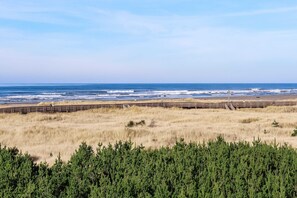 Nära stranden