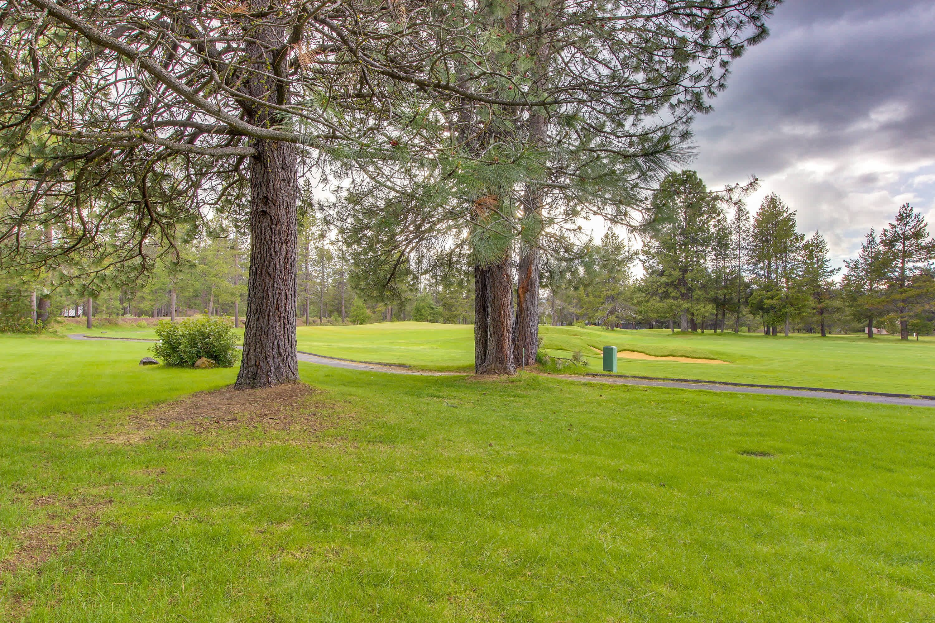 Um campo de golfe com uma árvore grande, gramado bem cuidado e céu limpo.