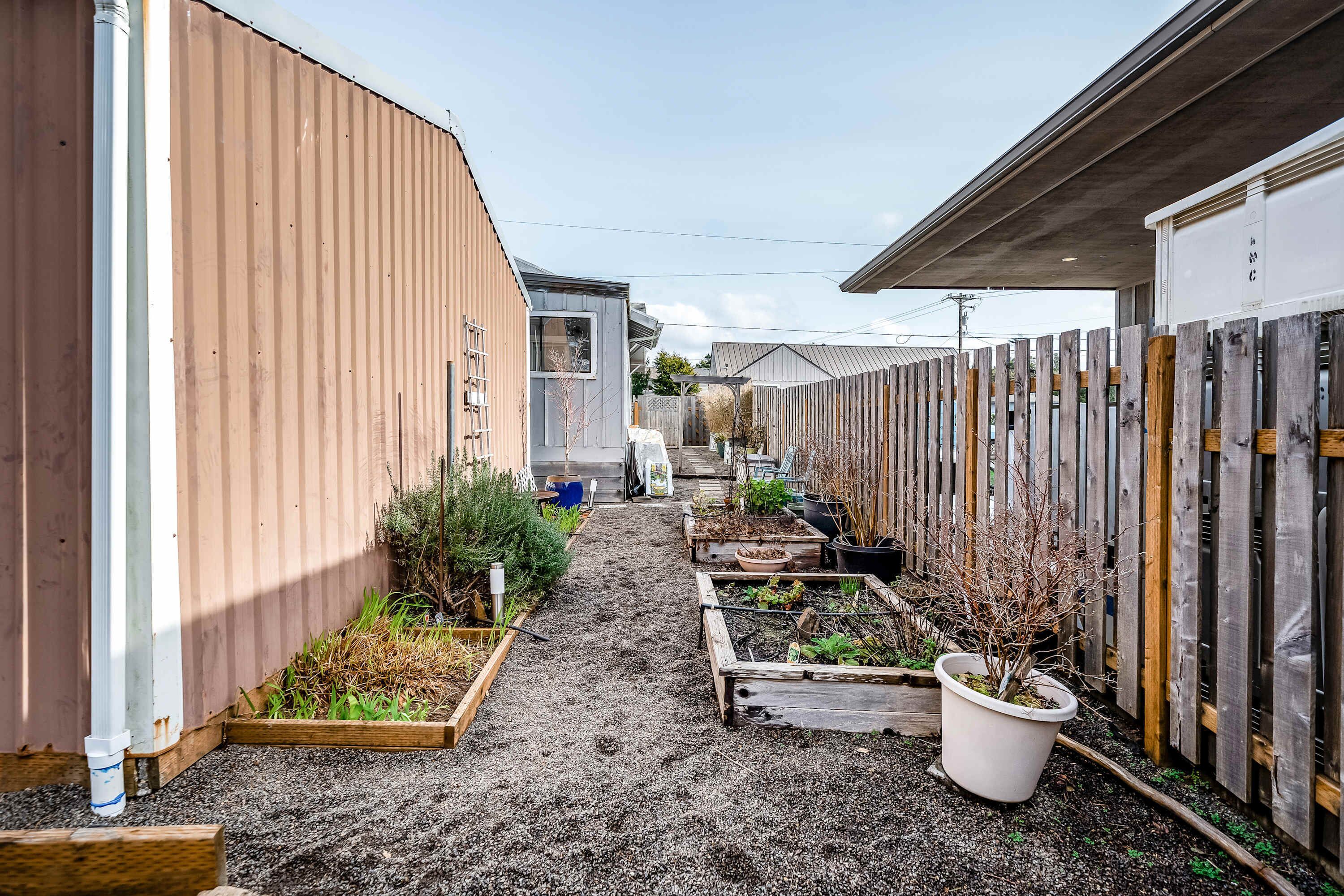 Un étroit sentier bordé de parterres surélevés où poussent différentes plantes, d’une clôture en bois et d’un bâtiment dont la façade est recouverte de tôles ondulées.