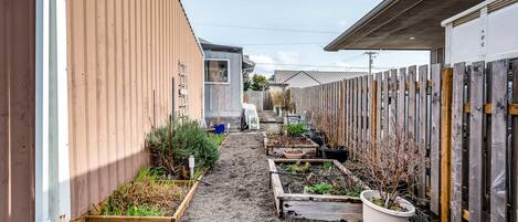 Un étroit sentier bordé de parterres surélevés où poussent différentes plantes, d’une clôture en bois et d’un bâtiment dont la façade est recouverte de tôles ondulées.
