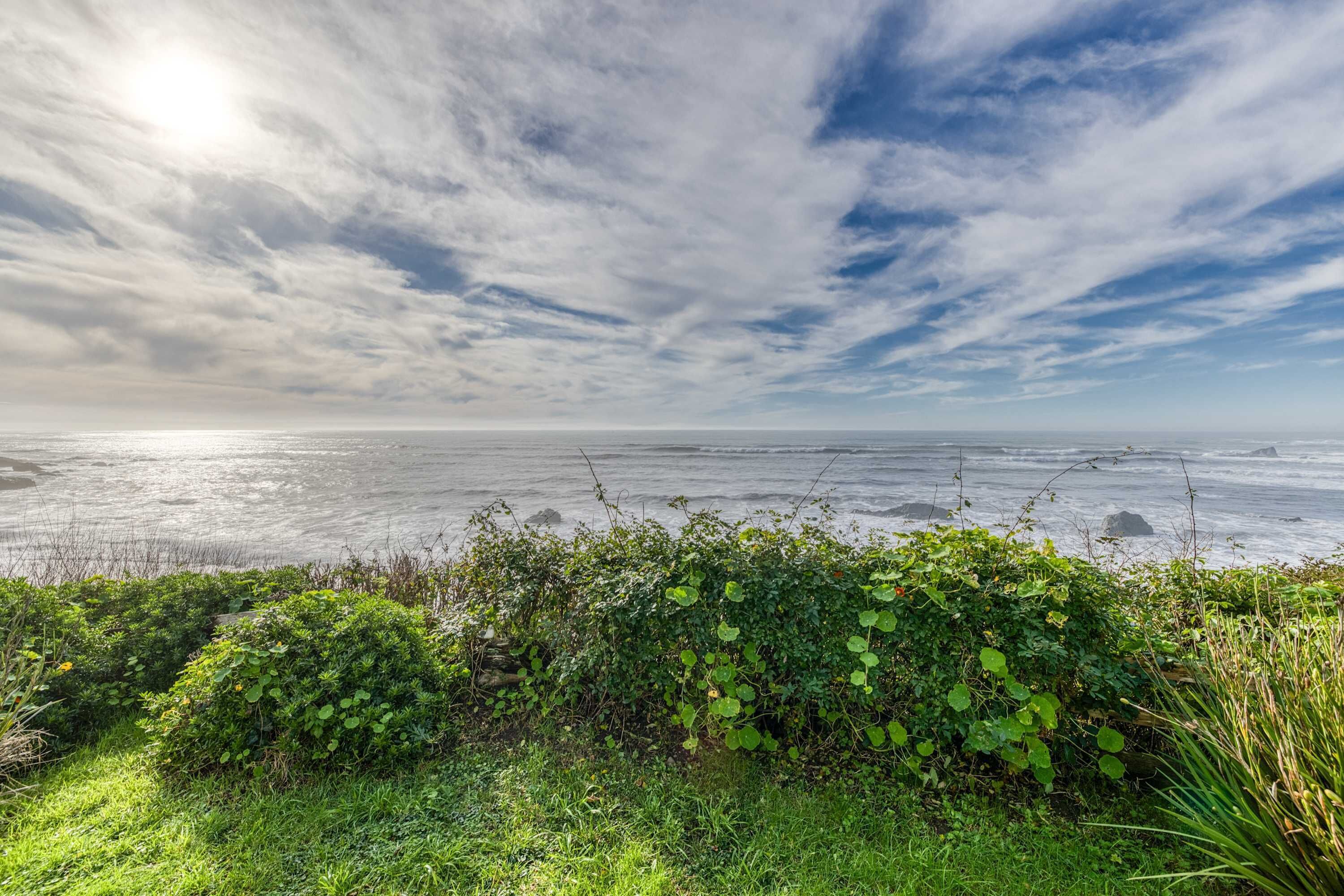A coastal landscape with a view of the ocean, a grassy foreground with bushes, and a partly cloudy sky.