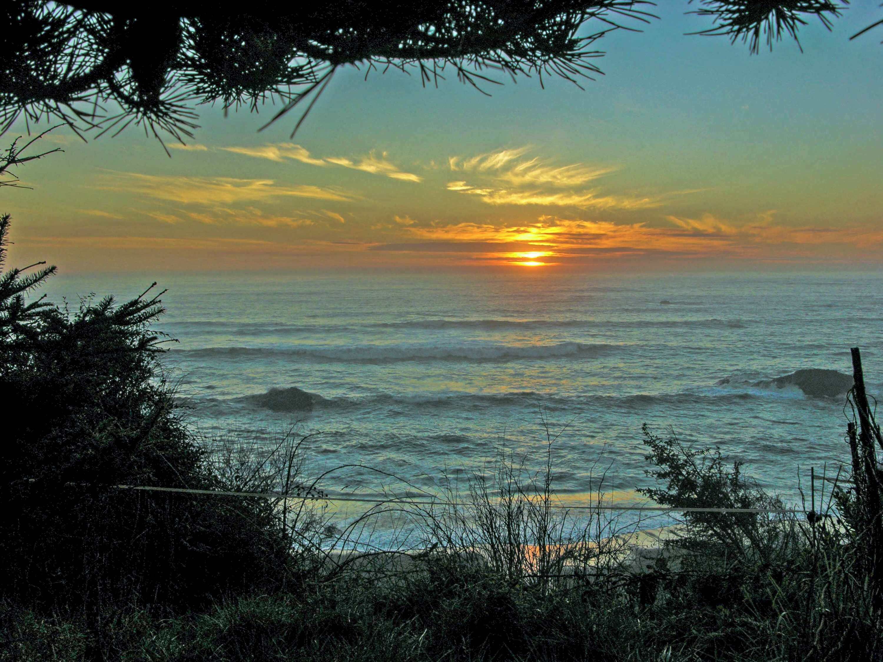 A sunset over the ocean with waves, surrounded by vegetation.
