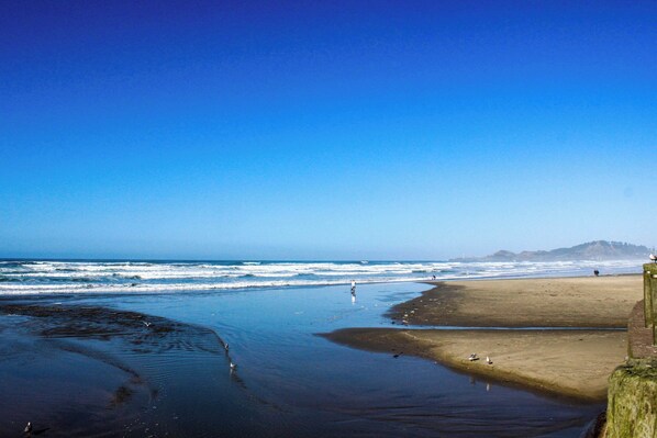 Beach - Charming Dog-Friendly Condo with Ocean View - Close to Beach & Nye Shops (Newport)