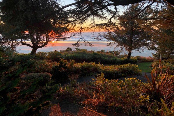 A garden with a variety of plants and trees, a pathway, and a view of the sunset over the water. - Historic, Waterfront Home with Private Hot Tub - Dogs Welcome (Newport)