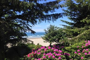 A beach with trees and flowers in the foreground. - Historic, Waterfront Home with Private Hot Tub - Dogs Welcome (Newport)