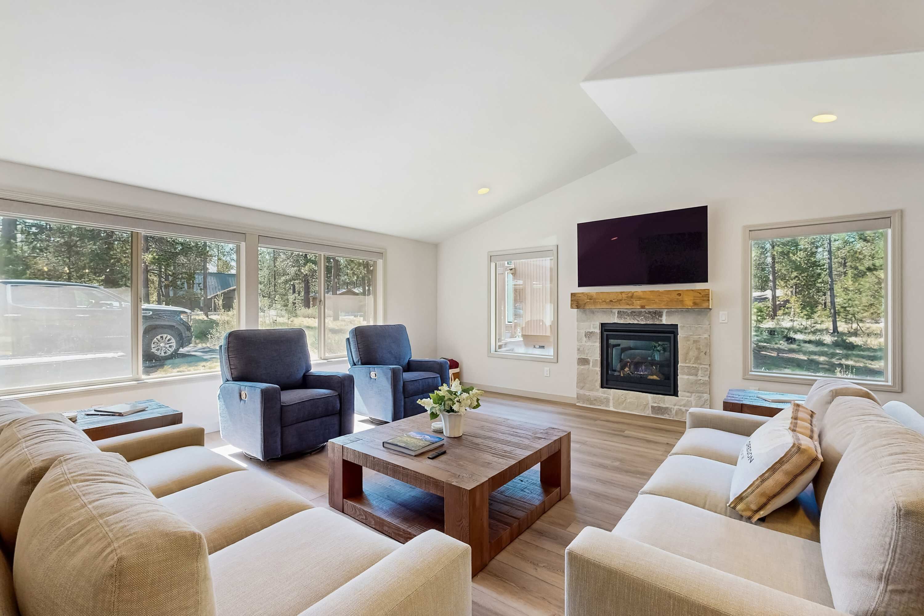 TV, fireplace, video games, offices