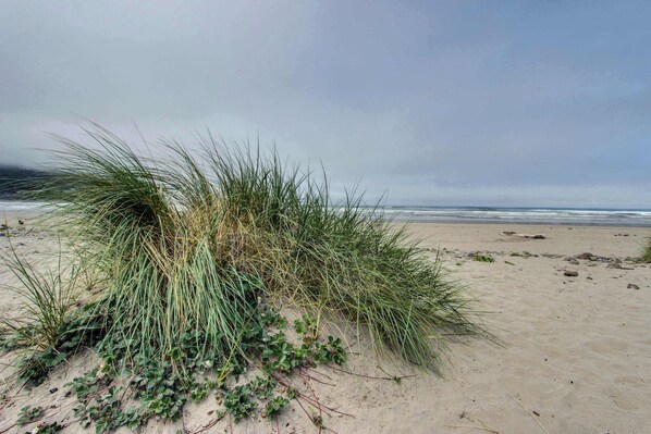 A sandy beach with grass and small plants.