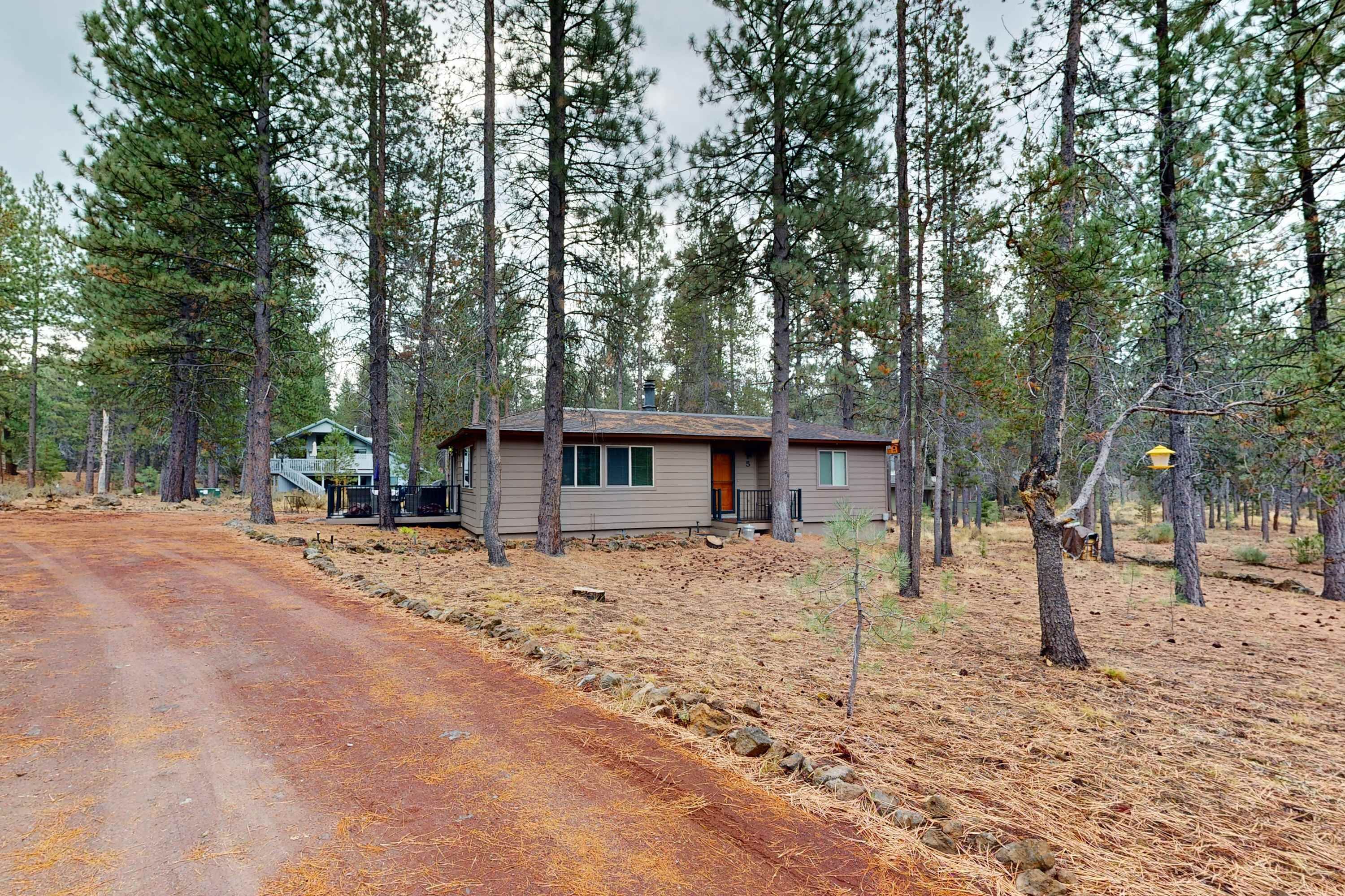 A cabin with a single-story structure, surrounded by tall pine trees, a dirt road leading to it, and a small porch area.
