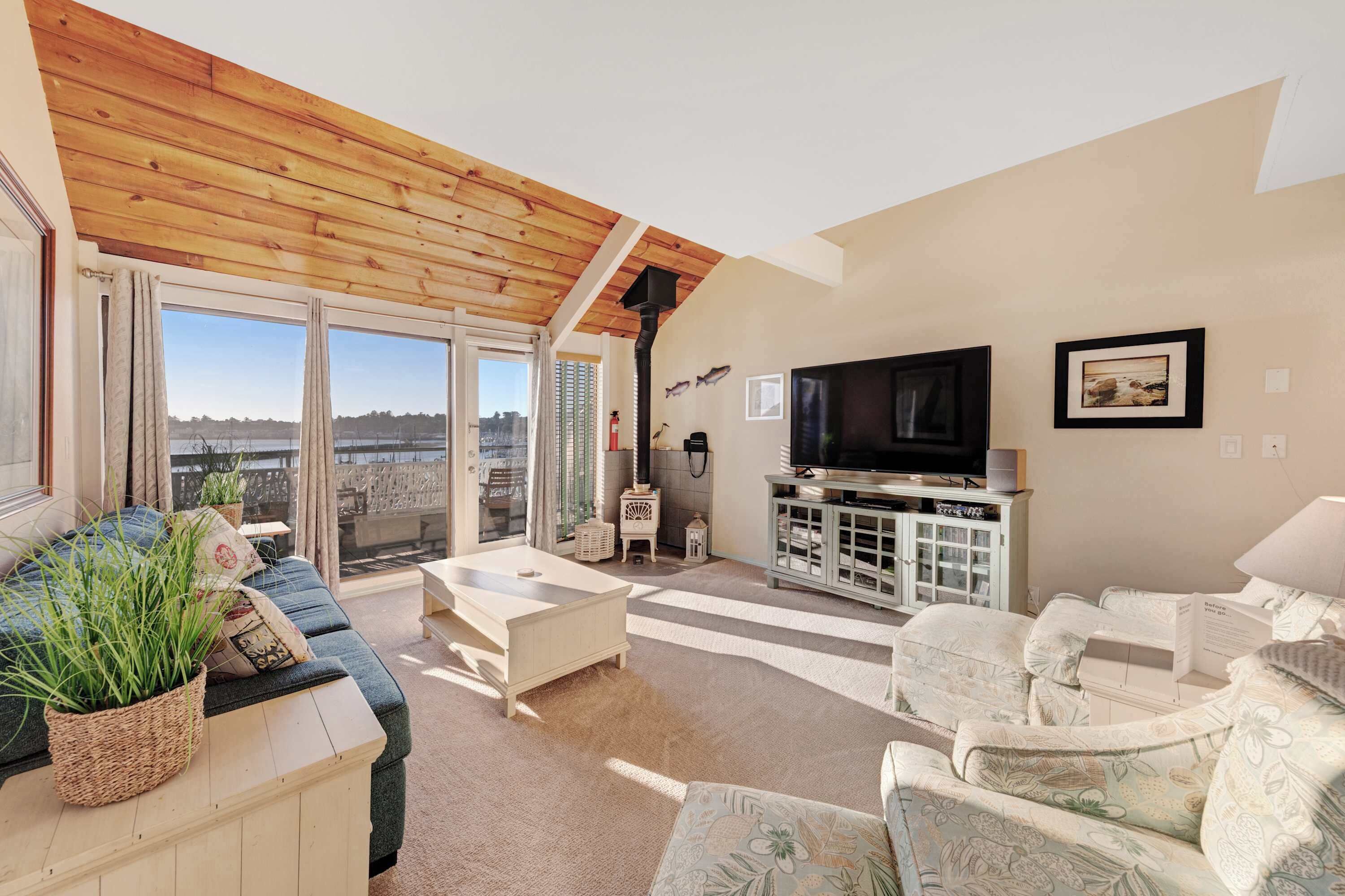 TV, fireplace, video games, DVD player