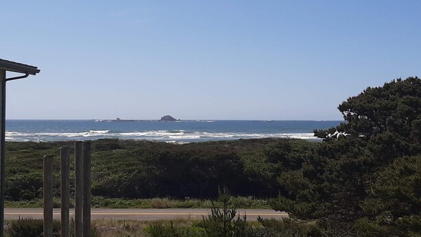 A coastal view with a road, dense greenery, and the ocean. - Coastal cottage with stunning ocean views & private gas grill - dogs welcome (Gold Beach)
