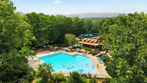 Una piscina circondata da vegetazione lussureggiante, con un edificio sullo sfondo.