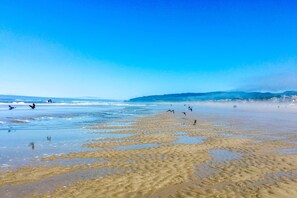 Beach nearby - Dog-Friendly Beach House w/ Spectacular Ocean Views & Easy Access to the Beach (Florence)