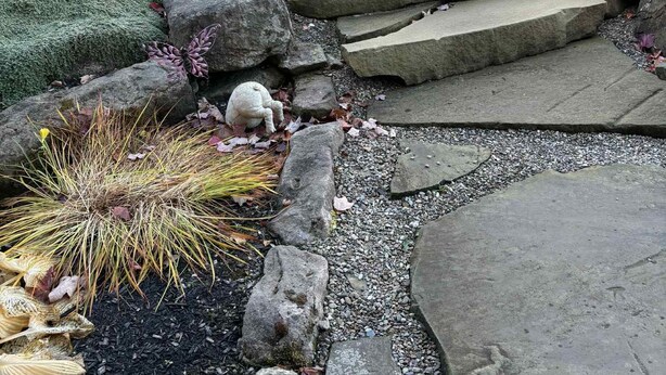 A stone pathway leading up a series of steps surrounded by rocks and plants.