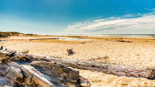 Une plage de sable avec un grand tronc d’arbre au premier plan et un ciel bleu dégagé.