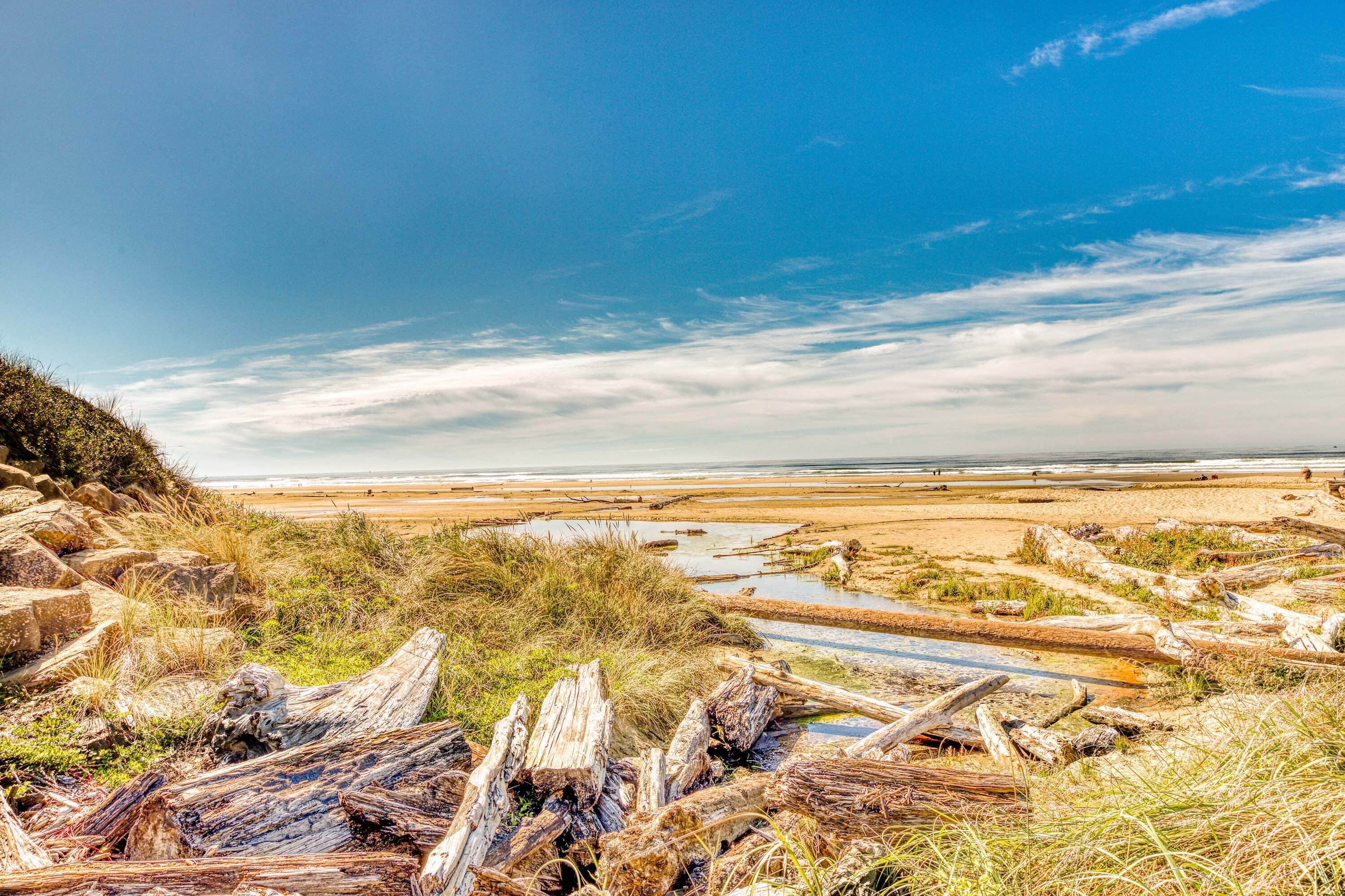 Un paysage côtier avec des morceaux de bois flotté, des zones herbeuses et une plage au loin.