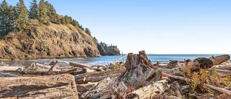 A rocky shoreline with driftwood and trees.