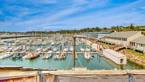 Un port de plaisance où sont amarrés de nombreux bateaux, avec une jetée et des bâtiments en arrière-plan.