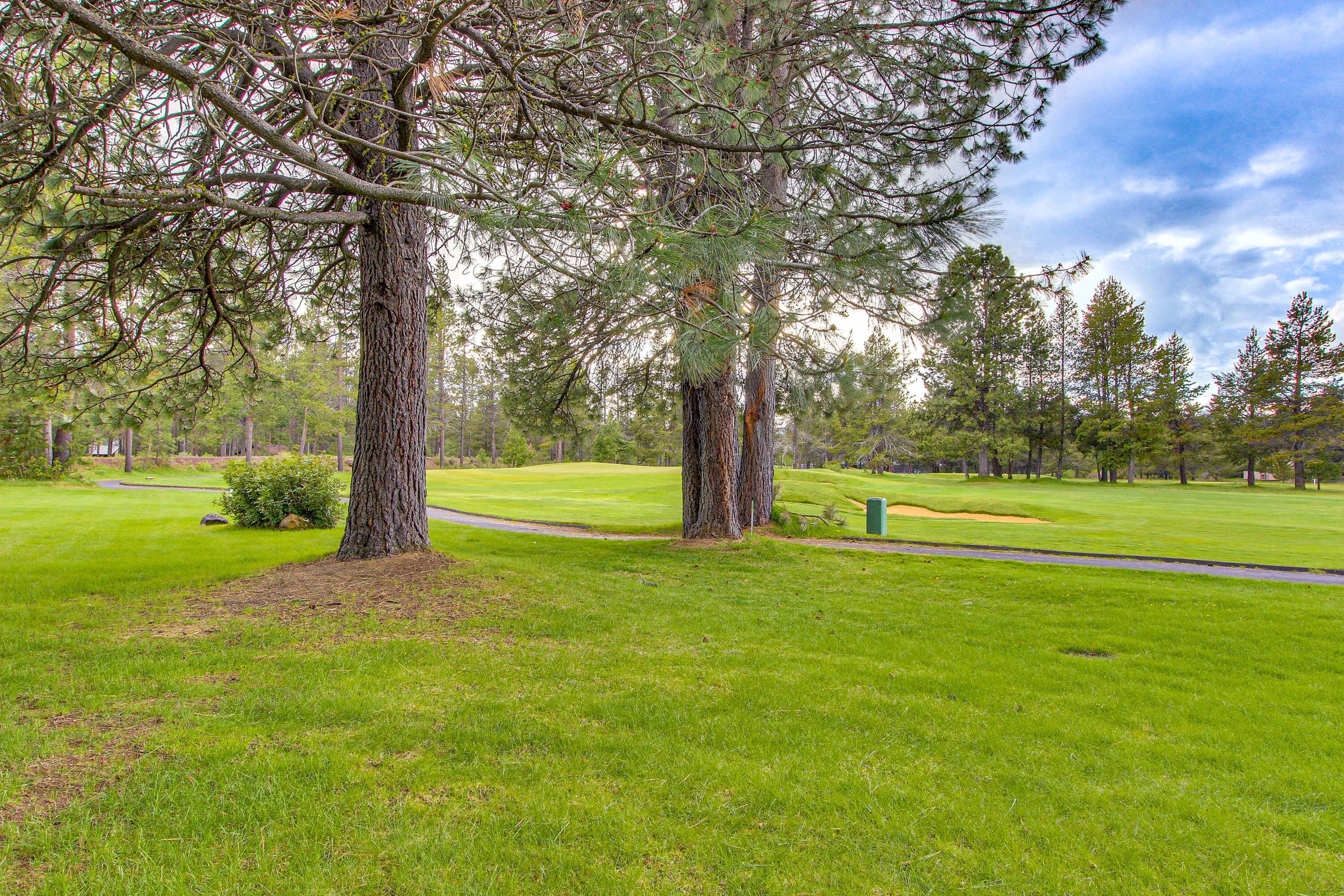 A golf course with a large tree, a well-maintained lawn, and a clear sky.