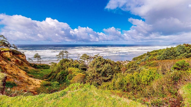 A coastal landscape with a view of the ocean, a sandy beach, and dense green vegetation.